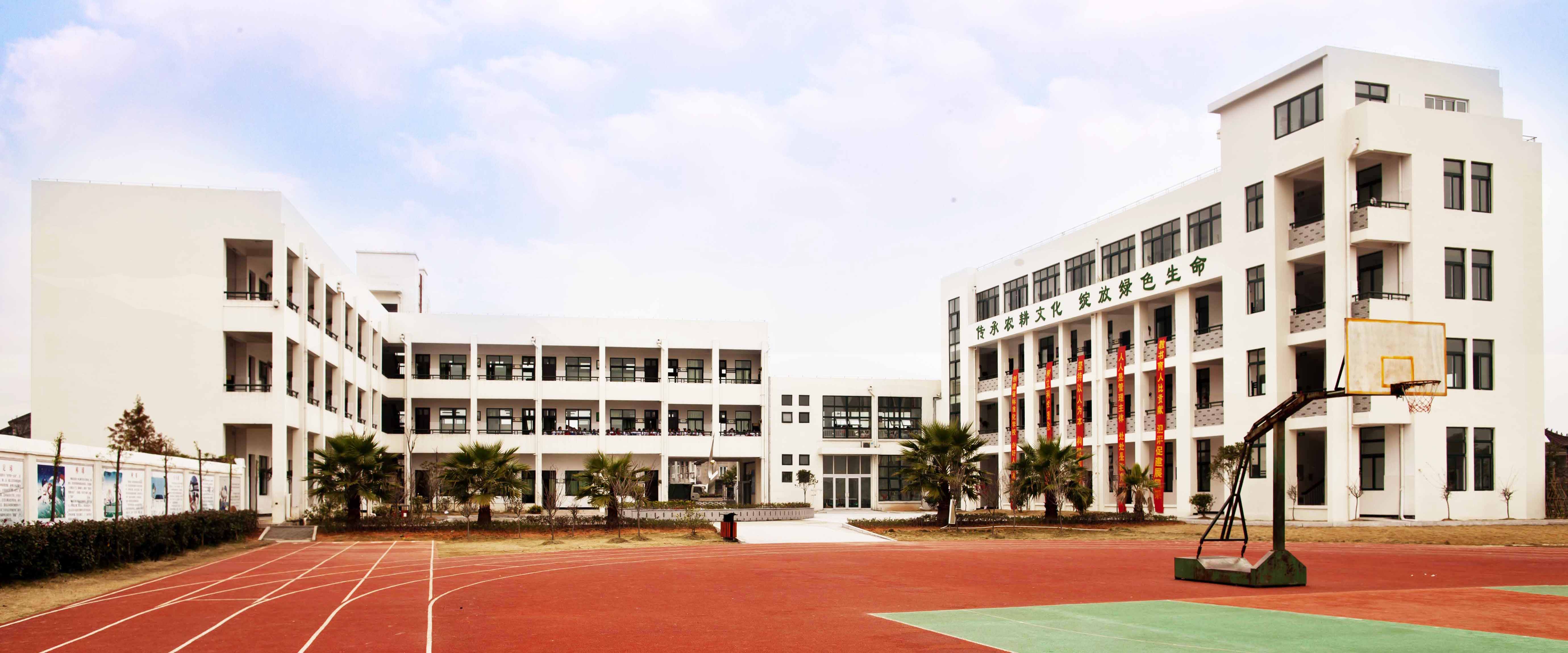 中小学方案概述