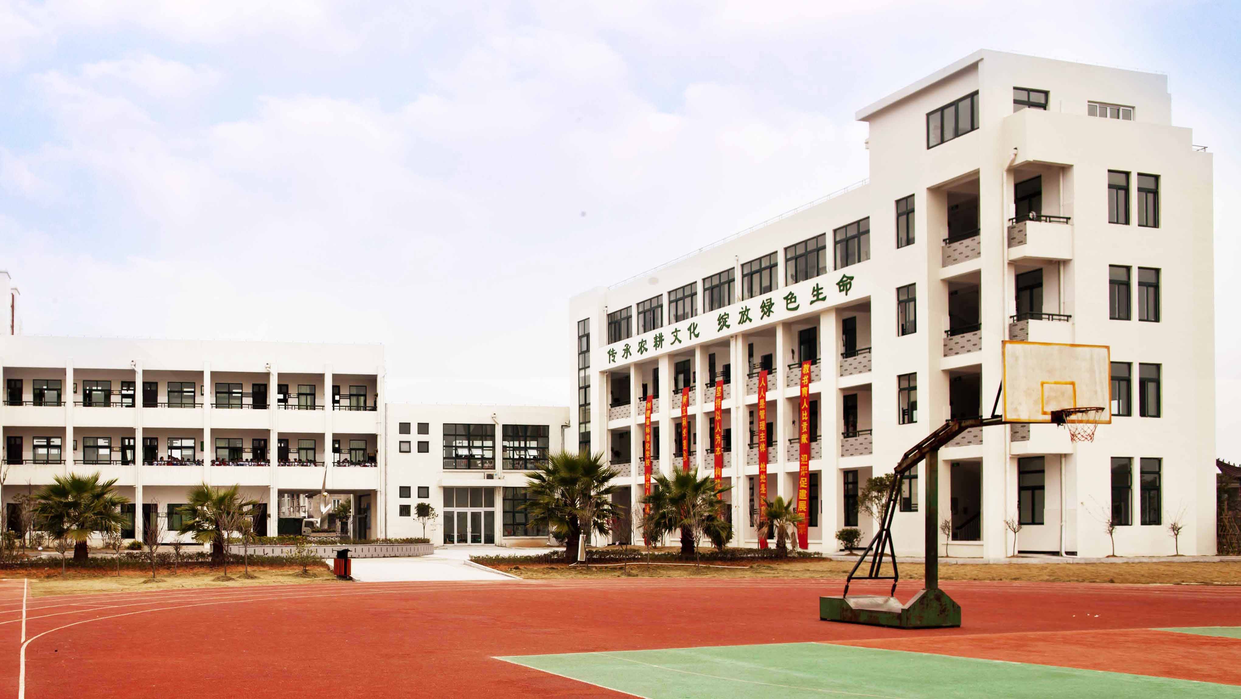 电子书包，改革普教